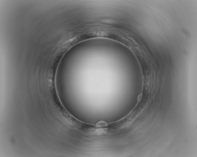 X0000116340553200912011352