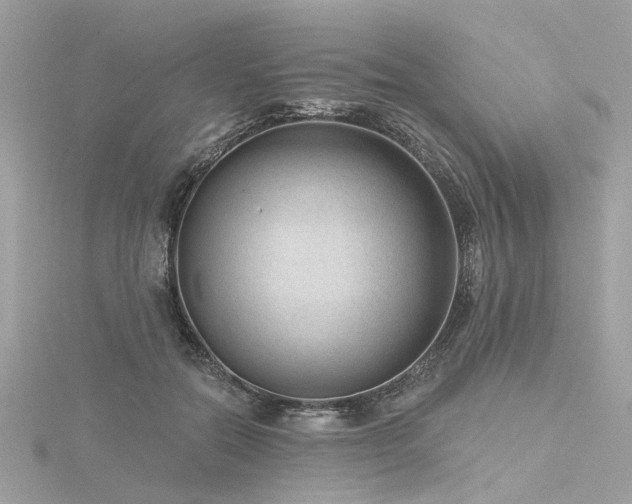 X0000116340554200912011352