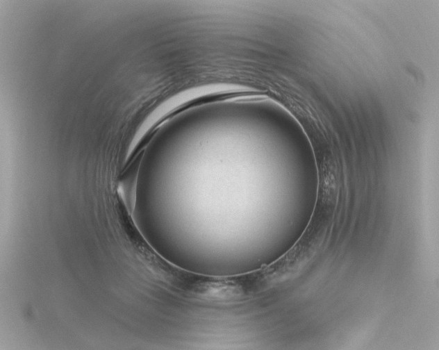 X0000116340555200912011352