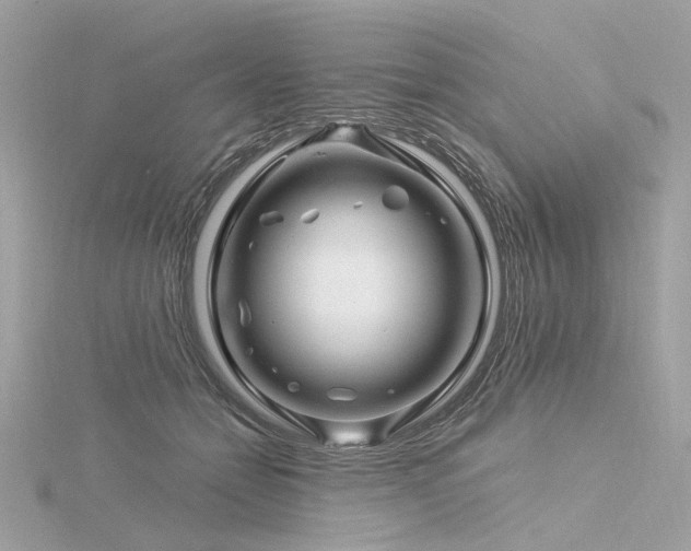 X0000116340558200912011352