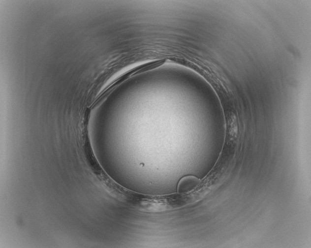 X0000116340559200912011352