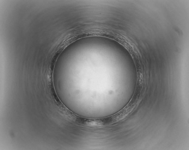 X0000116340561200912011352