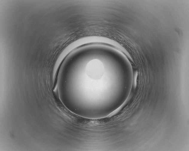 X0000116340562200912011352