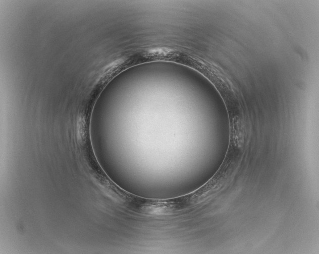 X0000116340563200912011352