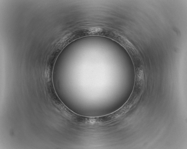 X0000116340565200912011352