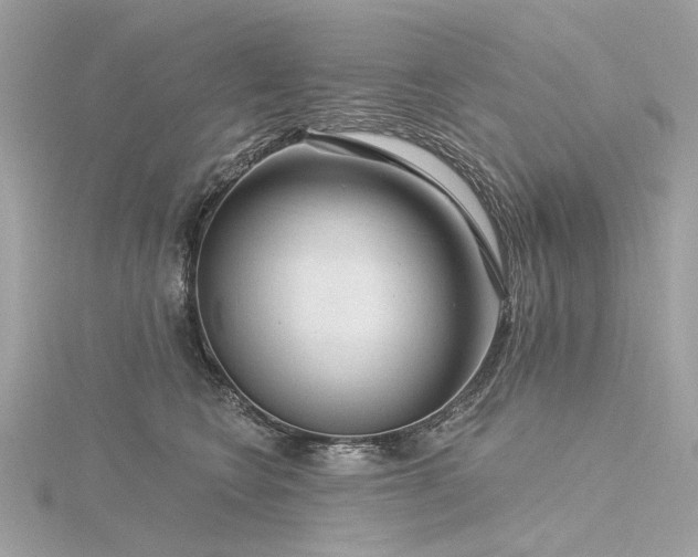 X0000116340566200912011352