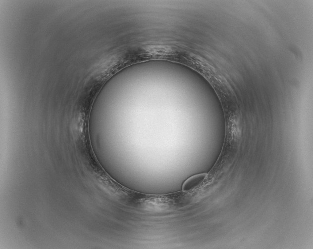 X0000116340567200912011352