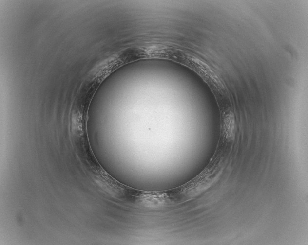 X0000116340571200912011352