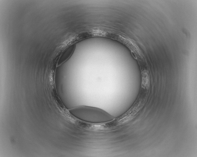 X0000116340573200912011352