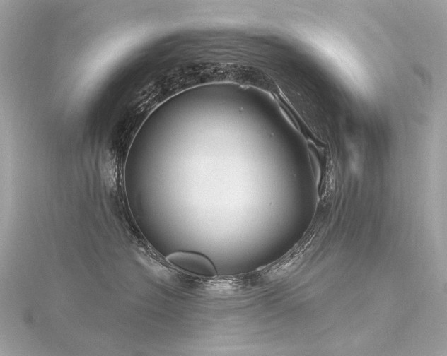 X0000116340574200912011352