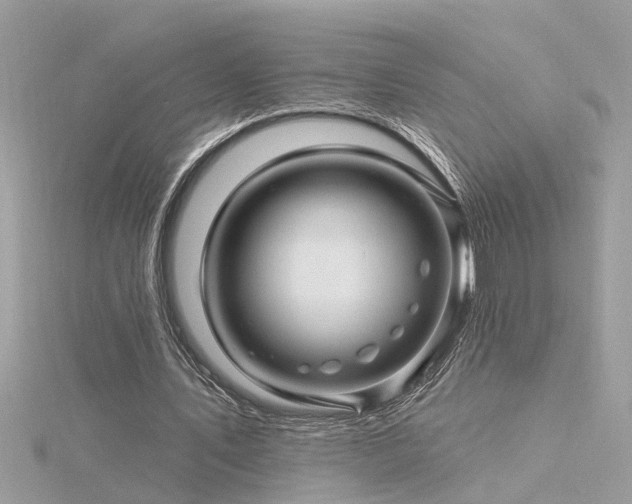 X0000116340579200912011351