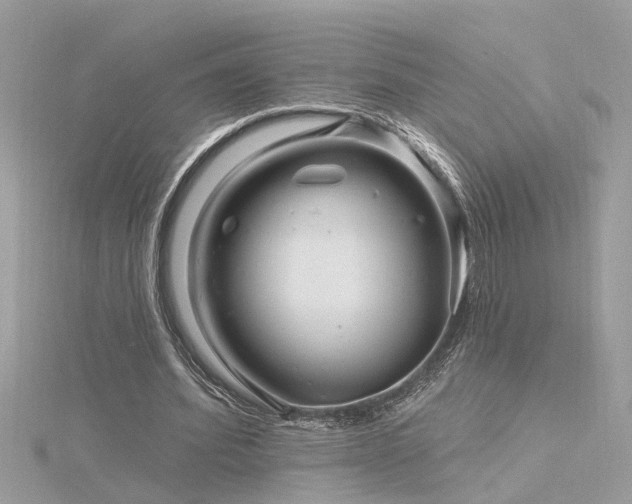 X0000116340580200912011351