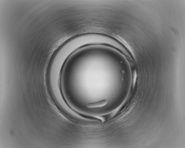 X0000116340581200912011351