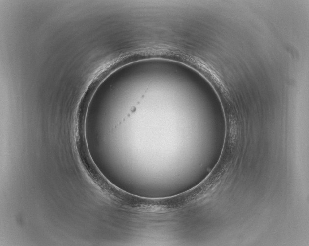 X0000116340582200912011351