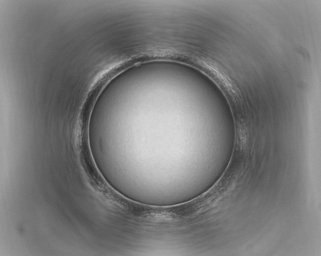 X0000116340583200912011351