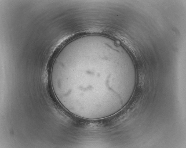 X0000116340584200912011351