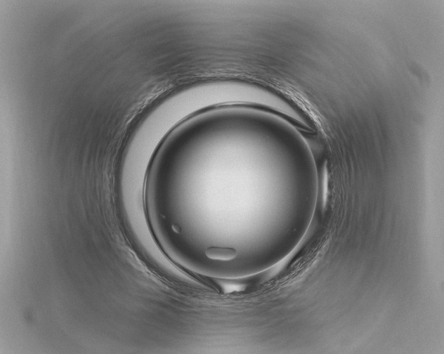 X0000116340585200912011351