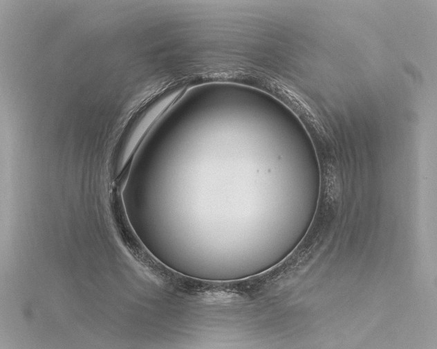 X0000116340586200912011351