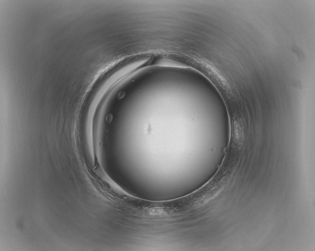 X0000116340588200912011351