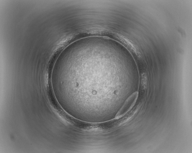 X0000116340589200912011351