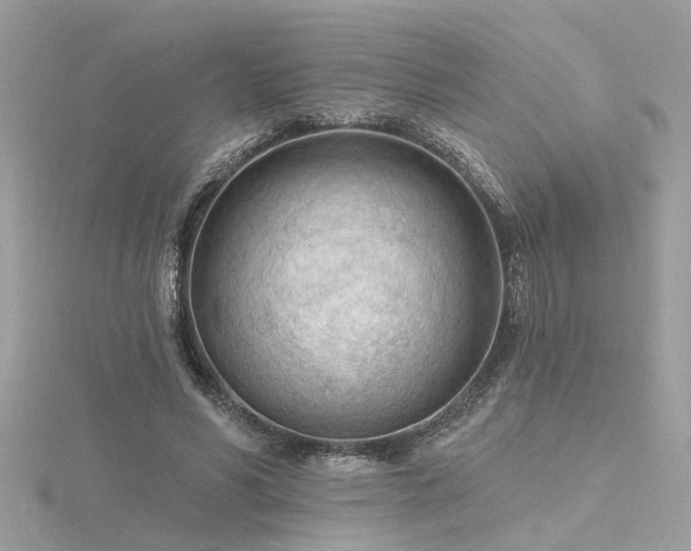 X0000116340590200912011351