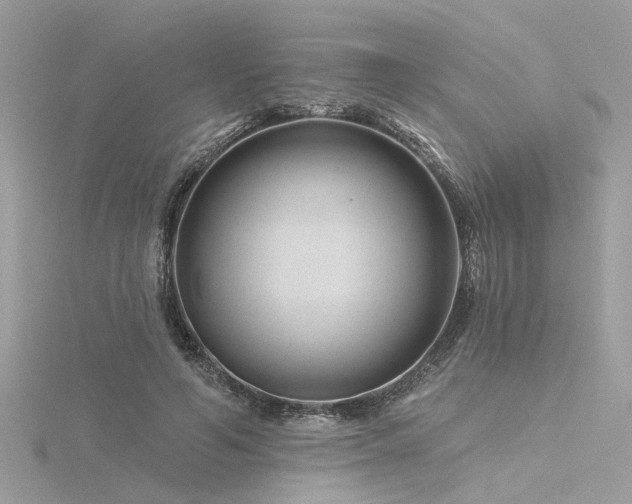 X0000116340594200912011351