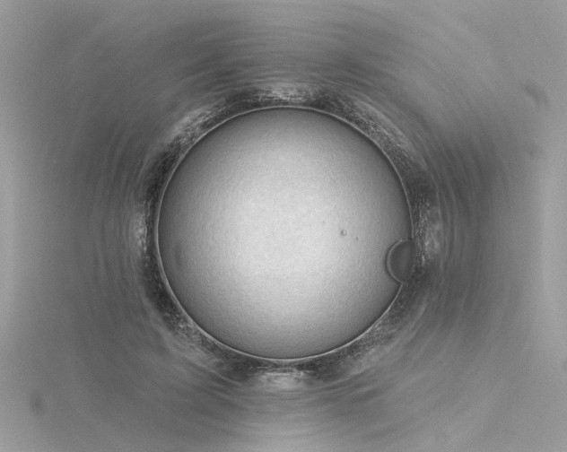 X0000116340595200912011351