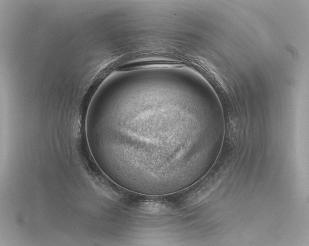 X0000116340596200912011351