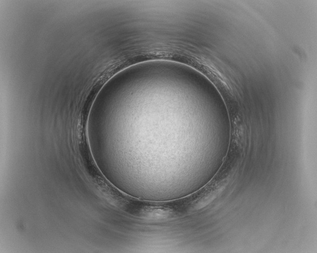 X0000116340597200912011351