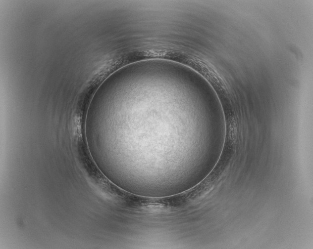 X0000116340598200912011351