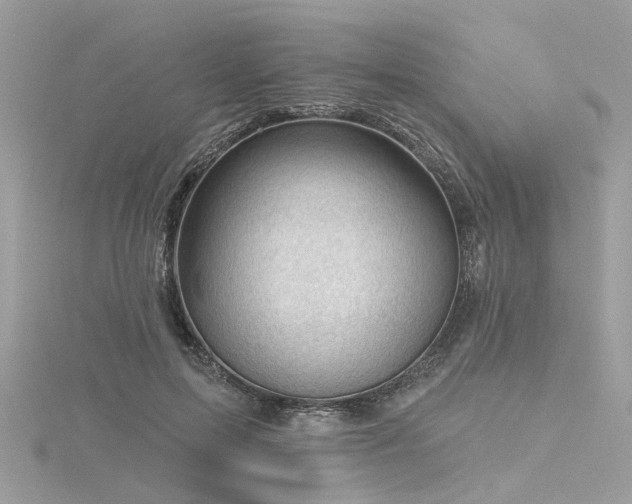 X0000116340599200912011351