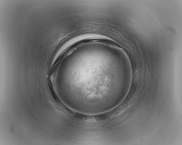 X0000116340600200912011351