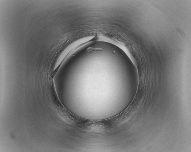 X0000116340601200912011351