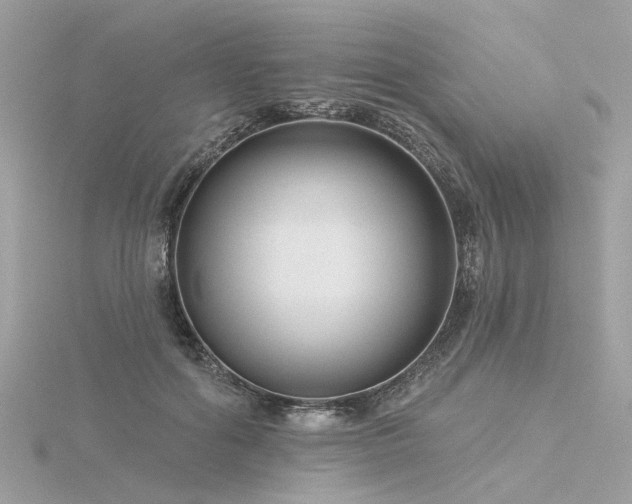 X0000116340602200912011351