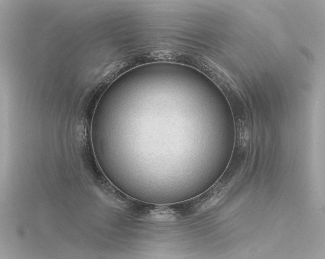 X0000116340603200912011351