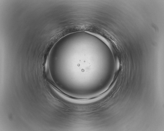 X0000116340605200912011351