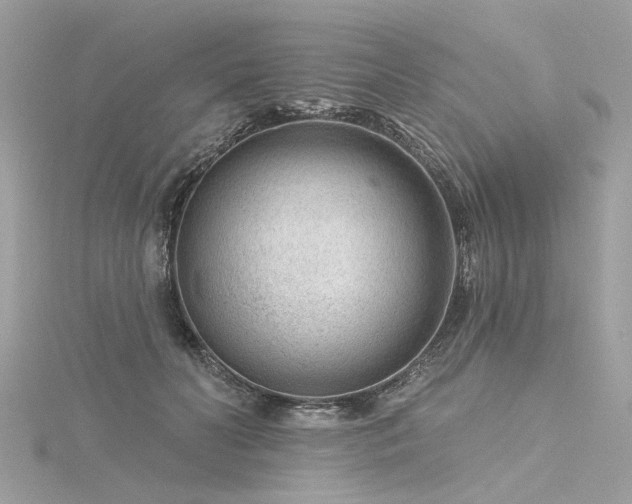 X0000116340606200912011351