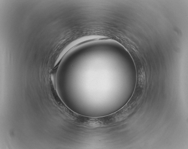 X0000116340608200912011351