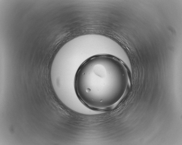 X0000116340609200912011351