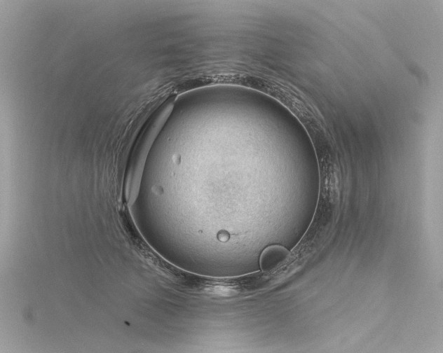 X0000116340610200912011351