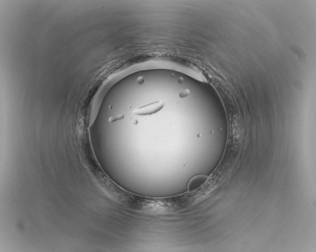 X0000116340611200912011351