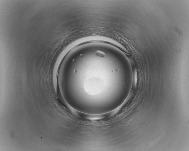 X0000116340613200912011351