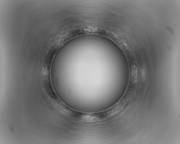 X0000116340614200912011351