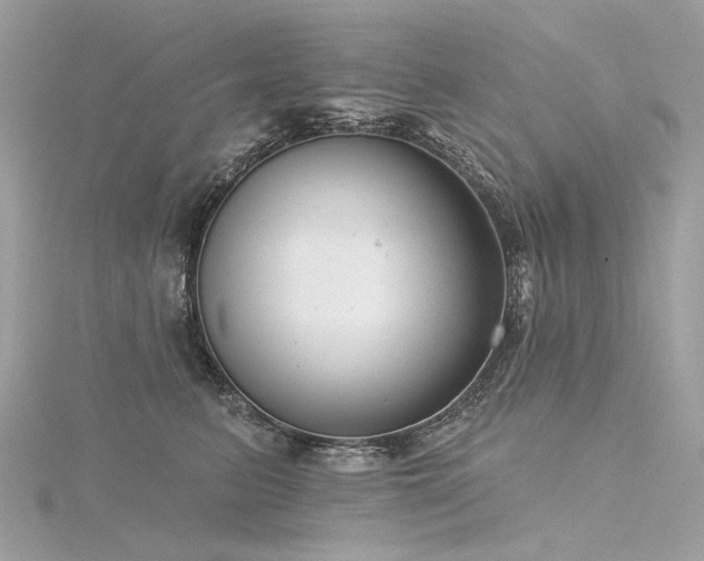 X0000116340615200912011351