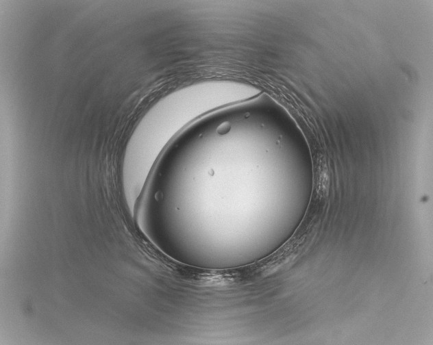 X0000116340616200912011351