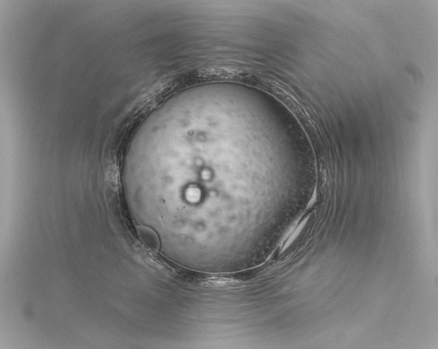 X0000116340617200912011351