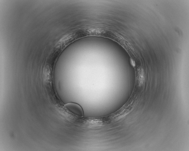 X0000116340619200912011351