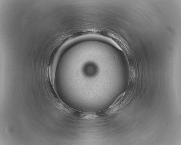 X0000116340621200912011351