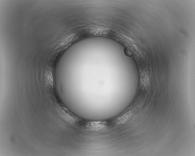 X0000116340622200912011351