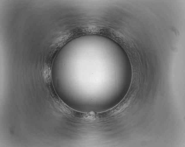 X0000116340624200912011351